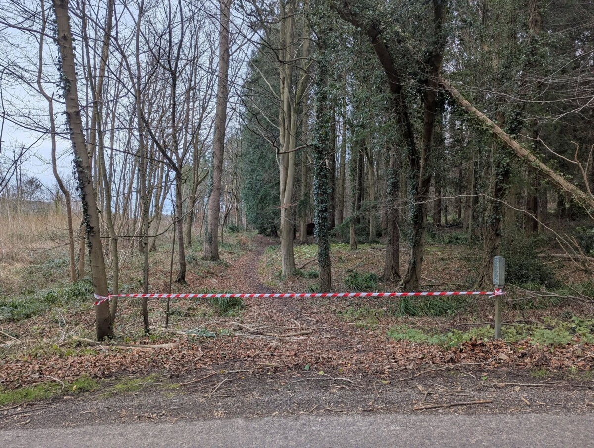 Storm damage