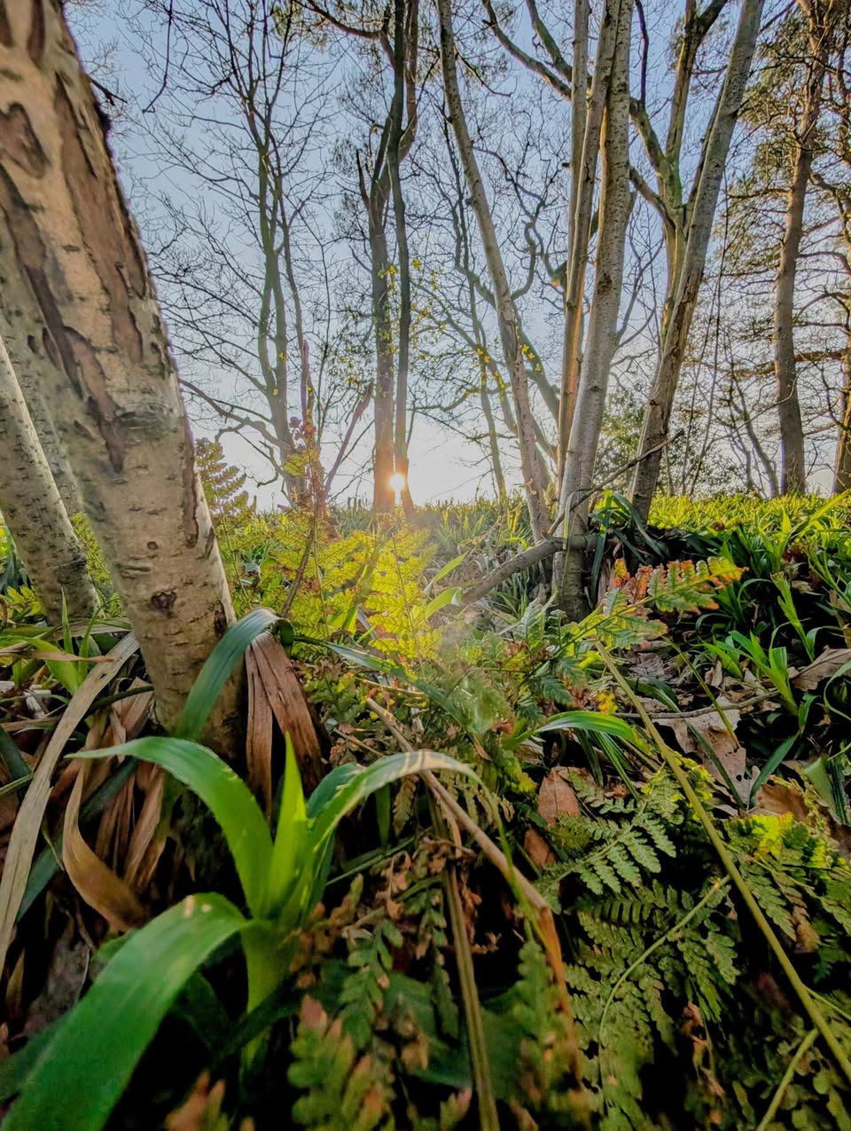 equinox