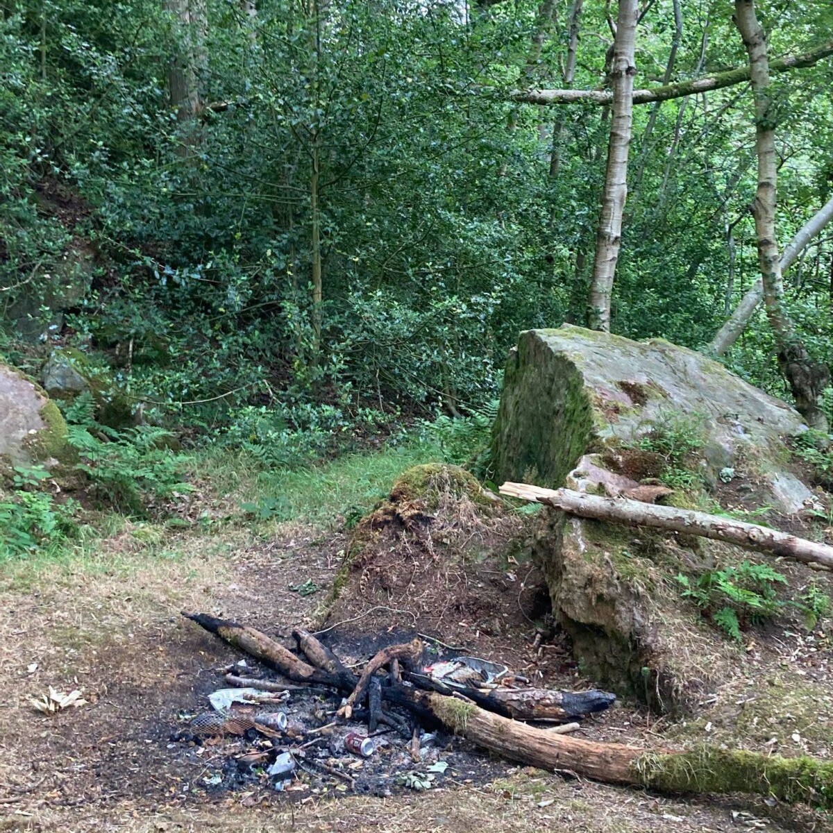 fire